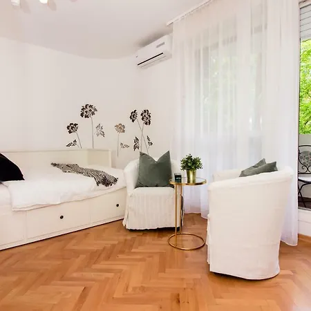 New Cozy Studio In The City Center Apartment